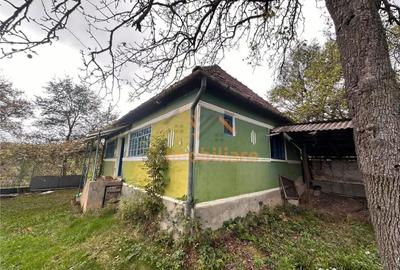 Teren de 9341 mp, în Bălnaca - 4