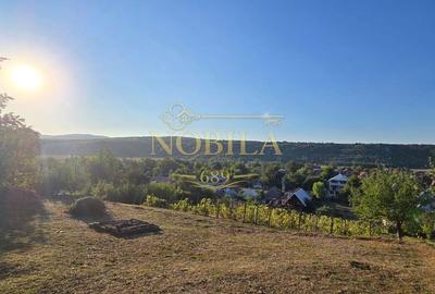Teren de 10537 mp, în Bogdănești - 11