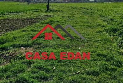 Casă cu Teren 5000 Mp în Urleta - 4