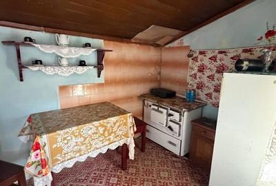 Casă cu 5 camere cu Teren 3252 Mp în Aghireșu - 12