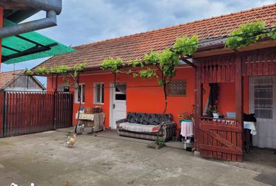 Casă cu 9 camere cu Teren 6300 Mp în Husasău de Tinca - 4