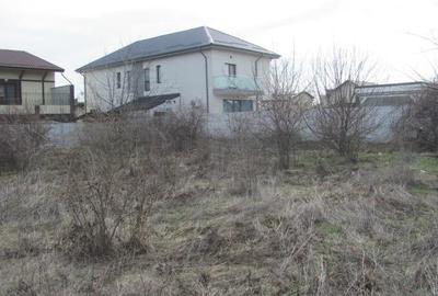 Prelungirea Ghencea - Safirului, 1000 mp - 7