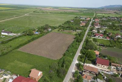 Teren Intravilan de 3,090 mp in Cuvin - 11