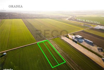 Spațiu comercial, în Biharia - 8