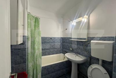 Apartament 2 camere - zona Tatarasi - 12
