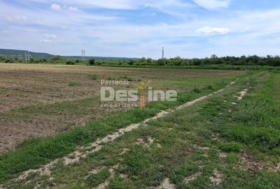 Teren Construcții extravilan de 5800 mp, în Mărăcineni - 5
