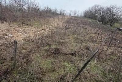 Teren de 700 mp, în Central - 4