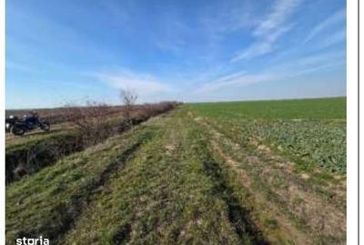 Spațiu comercial, în Central - 1