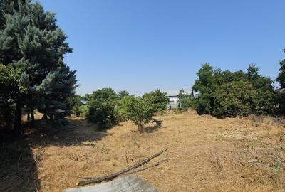 Vanzare teren Clinceni strada Principala - 2