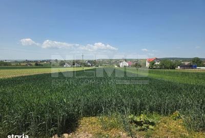 Teren de 2600 mp, în Mitocu Dragomirnei - 5