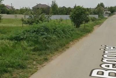 Teren de 4000 mp, în Dragomirești-Vale - 3