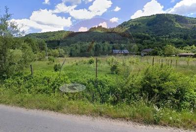 Teren 1600 mp cu proiect autoriza?ie, Chalet Duplex Ra?nov Glajerie - 1