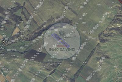 Teren Construcții intravilan de 38000 mp, în Borșa - 12