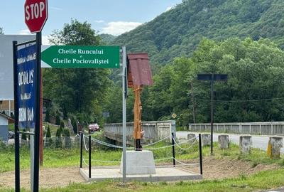 Casa de vanzare, 5 cam., 200 mp. + 5000 mp. teren, Valea Ariesului - 12