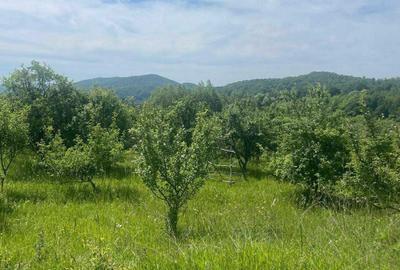 Teren de 6000 mp, în Urluiești - 8