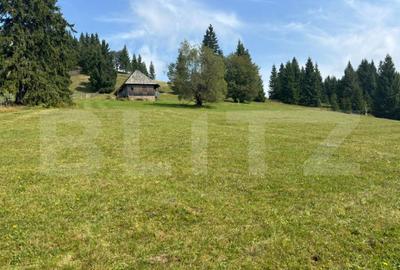 Teren de 20000 mp, în Central