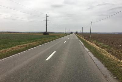 Teren Construcții intravilan de 22500 mp, în Chiribiș