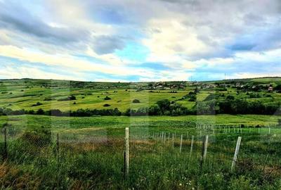 Teren de 425 mp, în Iris