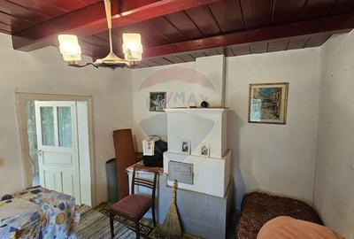 Casă individuală cu 2 camere cu Teren 9200 Mp în Pădureni (Șendriceni) - 7