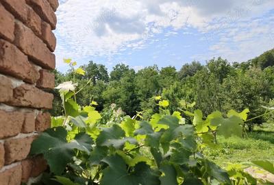 VAND CASA IN CAPU Piscului Godeni judetul Arges - 1