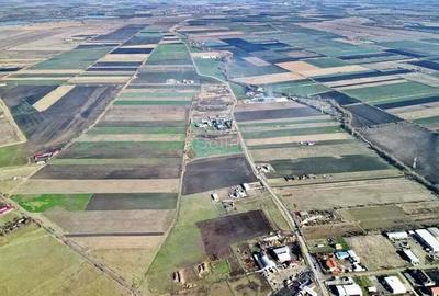 Teren Industrial cu P.U.Z. - 20