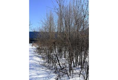 Teren Construcții intravilan de 1427 mp, în Titan - 7