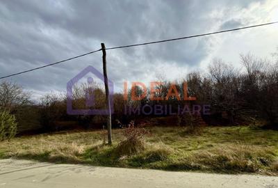 Teren extravilan 1030 mp, Cârțișoara - 3