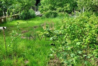 Teren la liziera padurii! - 4