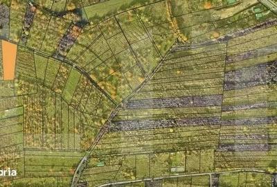 Spațiu comercial, în Central