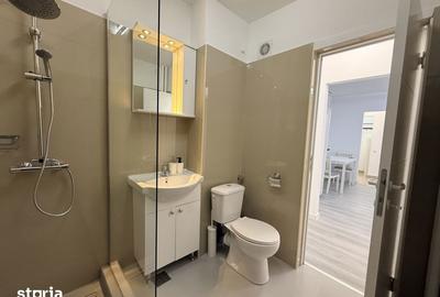 Apartament cu 2 camere, mobilat în Plevnei - 10