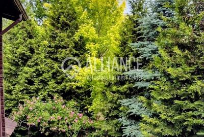 BREBU/PRAHOVA(cod04)-Casa P+1 zona mirifica - 3