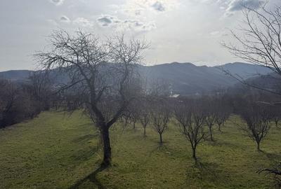 Spațiu comercial, în Central - 11