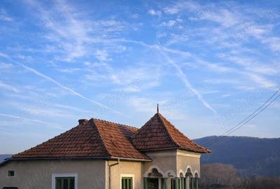 Teren de 4443 mp, în Bratia din Vale - 3