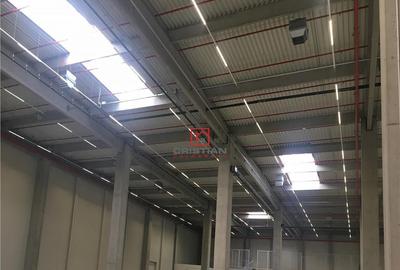 Depozit/hala/spatiu industrial Ciorogarla - A1 - KM13, Ilfo - 5