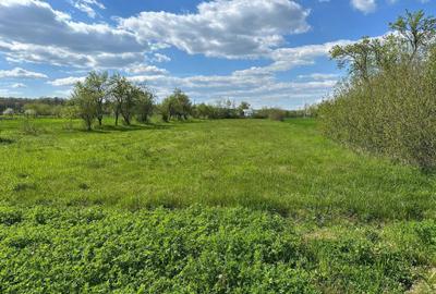 Spațiu comercial, în Teiș - 2