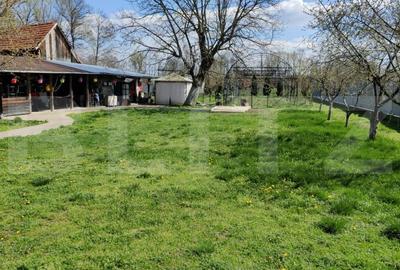 Casa P+E+M cu 4 camere, 250 mp si 3000 mp teren, zona Arcani - 6