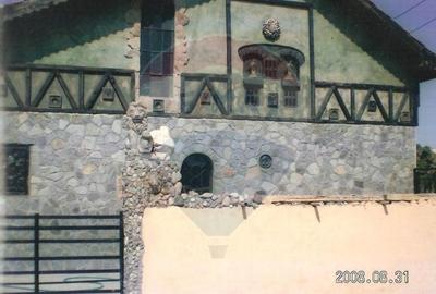 Vanzare Casa-Conac boieresc stil Baroc cu teren in Stoenesti, jud Olt - 23