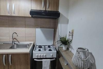 Garsoniera- Complet mobilata si utilata -Parklake - 4