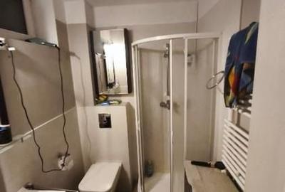 Apartament cu 3 camere decomandat, mobilat în Cișmigiu - 6