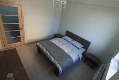 Apartament cu 2 camere de inchiriat in zona Grivitei - 3