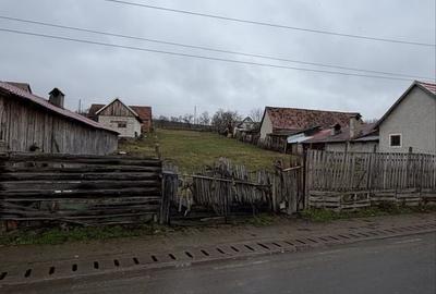 Spațiu comercial, în Păuca - 10
