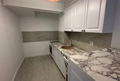 REA1017166 Apartament 2 camere cu gradina proprie Mosilor - 7