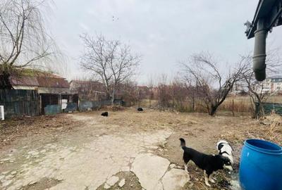 Rosu-Militari, Casa 7 Camere, singur in curte. Teren 750 mp. - 4