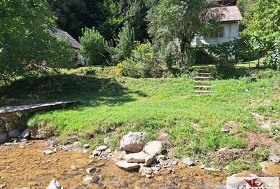 Casa de vanzare in zona Vintu cu 10.790 mp teren - 10