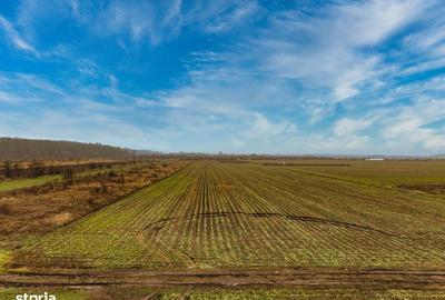 Spațiu comercial, în Săbăreni - 4