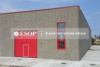 Hale industriale, parc modern, Rudeni, Chitila, Ilfov- ID 15462 Hale industriale, parc modern, Rudeni, Chitila, Ilfov- ID 15462 - 3