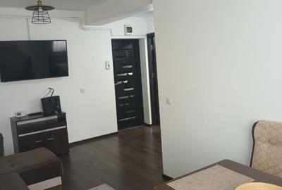 Apartament cu 2 camere semidecomandat, mobilat în Brazda lui Novac - 12