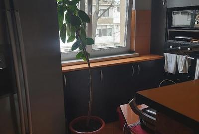 Garsonieră decomandată, mobilată în Tractorul - 1