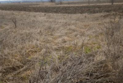 Teren de 5550 mp, în Dragomirești - 2