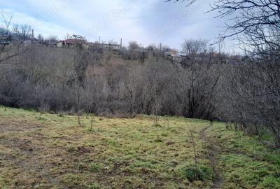 Teren de 2160 mp, în Vârlezi - 7